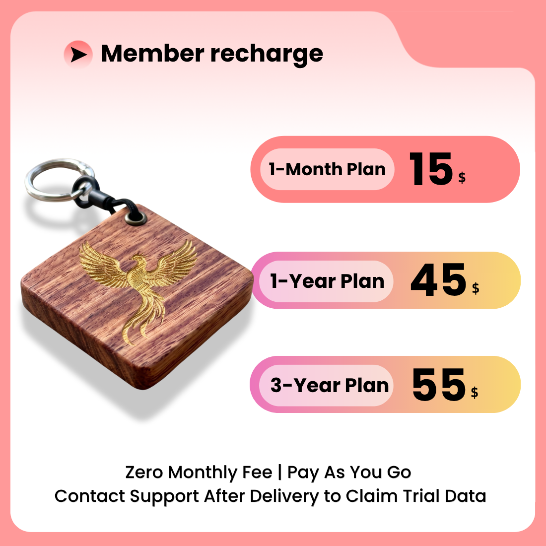 GPS Tracker - 图片 10